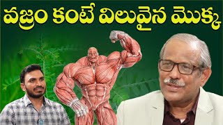 Nela Usiri Uses in Telugu | నేల ఉసిరి అసలు ఈ నిజాలు తెలిస్తే షాక్ అవుతార | Dr. Balakishan | iDream