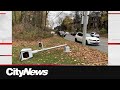 Vandals chop down Toronto's most infamous speed camera