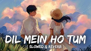 Dil Mein Ho Tum : WHY CHEAT INDIA ( Slowed & Reverb ) || Armaan Malik || CHILL VIBES