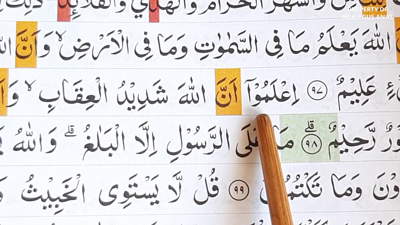 Belajar Ngaji Quran Sepesial Makna Surah Al Maidah Ayat 96 100 Belajar Ngaji Quran Sepesial Makna Surah Al Maidah Ayat 96 100