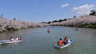 弘前さくらまつり2016