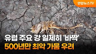 유럽 주요 강 일제히 '바짝'…500년만 최악 가뭄 우려 / 연합뉴스TV (YonhapnewsTV)