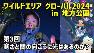 【ポケモンGO】極寒の闇迫る！カビゴンの色違いを狙う！ワイルドエリア グローバル2024 初日 最終回