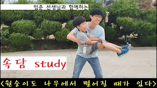 속담 STUDY 13. 원숭이도 나무에서 떨어진다