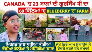 Canada 'ਚ 23 ਸਾਲਾਂ ਦੀ ਗੁਰਸਿੱਖ ਧੀ ਦਾ 60 ਕਿੱਲਿਆਂ 'ਚ Blueberry ਦਾ Farm | Pro Punjab Tv Canada