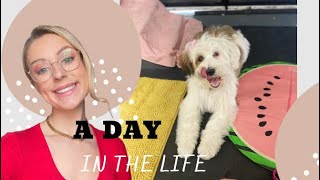 A DAY IN THE LIFE| SMALL BUISNESS | DOG GROOMER | ADMIN DAY