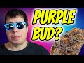 HOW TO GET PURPLE BUDS!