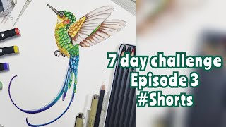 HUMMINGBIRD drawing with touch touch markers/ 7 day challenge/ Episode 3