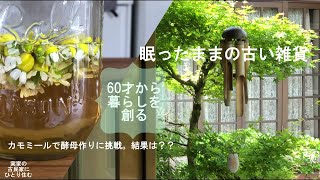 60才から暮らしを創る。眠りから覚めた古き雑貨。カモミールで酵母を作�