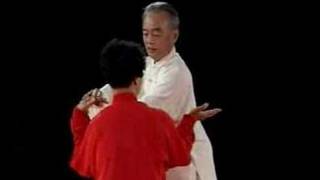 Chen Taijiquan Applications (Ma Hong)