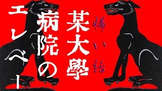 【怖い話】某大学病院のエレベーター【朗読、怪談、百物語】