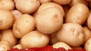 BadBoyHalo - Rapping Potato