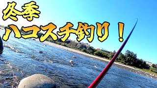 60オーバーも放流！利根川冬季ハコスチ釣り場でBIG 1を狙う！