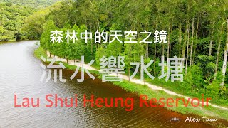 森林中的天空之鏡 - 流水響水塘 Lau Shui Heung Reservoir | 新界北 North NT | 香港 HK | DJI Mavic Air 2 | 航拍 Drone l 4K