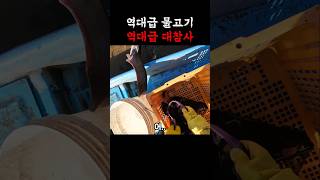 도망치는 역대급 대물의 최후 #청년어부 #통발 #민물고기 #임진강