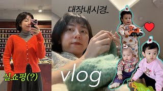 VLOG l 5년만에 대장내시경, 건강검진에도 뜨개를 하는 자, 플레이스낙양 실쇼핑, 아기 있는 집 집들이 선물 준비, 복숭이네 놀러가기