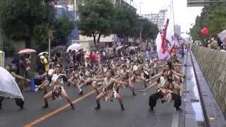 [踊るん♪よさこい２０１３]流し会場　 team清門 ＆ うつくしま復興PR隊「うつくしま宝物」