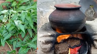 ਵੇਲ ਦਾ ਸਾਗ || saag recipe Punjabi food recipe #eating#food#foodvlog#viral#trending#indianfood