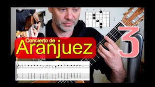 Rodrigo Guitar Concerto de Aranjuez - lesson 3