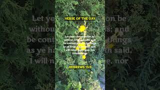 HEBREWS 13:5  #bible  #shortsvideo  #short  #shortsviral  #shortfeed  #bibleverse  #shorts