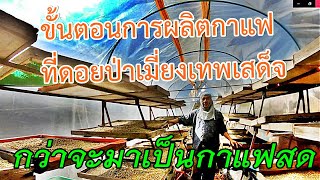 การผลิตเมล็ดกาแฟ ดอยป่าเมี่ยงเทพเสด็จ(2/2)ep110