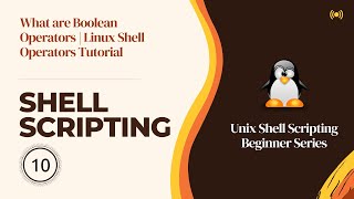 What are Boolean Operators | Linux Shell Operators Tutorial | Shell/Bash Scripting | Hacking