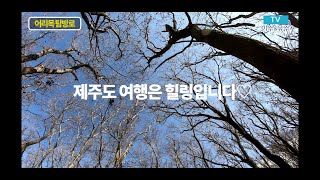 이수\u0026유수, 1100고지 습지와 한라산 어리목 탐방로를 가다!