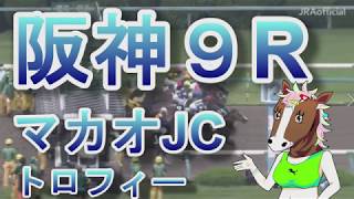 【競馬検証】中穴!?阪神９RマカオＪＣトロフィー【予想AI】