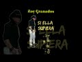 Si Ella Supiera cover by Roy Granados