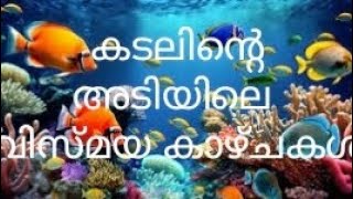 Underwater Aquarium @Thodupuzha Marine expo