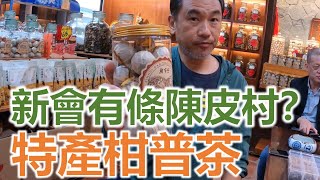 【灣區博士沈永年｜疫行大灣區】新會有條陳皮村？｜特產柑普茶