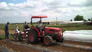 Part 1 - Searching For Ways To Mechanize Deployment of Row Covers: Tunnel Layer