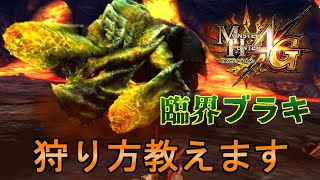 【MH4G】臨界ブラキが楽しくなる解説動画