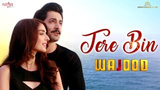 Tere Bin | Wajood Movie | New Love Song | Danish Taimoor, Saeeda Imtiaz | Hindi Song 2018