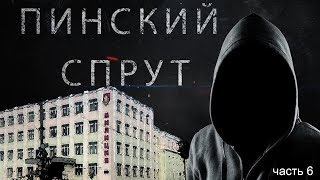 ПИНСКИЙ СПРУТ 6