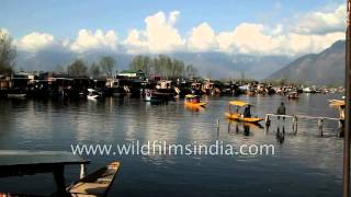 Shikara (boat) ride Is a Must Do tourist activity in Kashmir