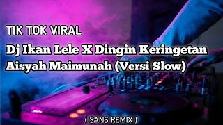 Download Lagu Dj Ikan Lele X Dingin Keringetan Aisyah Maimunah T... MP3 Gratis