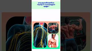 മനുഷ്യ ശരീരത്തിലെ സുഷുംന നാഡികളുടെ എണ്ണം എത്ര?#keralapsc #medicalgk