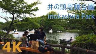 【4k】Tokyo walk-Inokashira Park　井の頭恩賜公園を散歩 2022