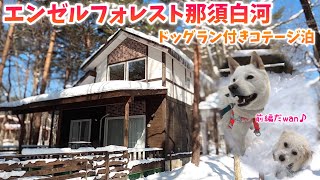 【エンゼルフォレスト那須白河】ドッグラン付きコテージ泊🐶【前編】