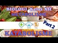 Metabolisme Kelas XII IPA Part 2 : Katabolisme