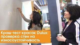 Краш-тест красок Dulux: проверка стен на износоустойчивость