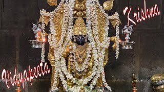 Sri Krishna Vidyapeeta Maha Mangalarathi | ಪೂರ್ಣ ಪ್ರಜ್ಞ ವಿದ್ಯಾಪೀಠ ಶ್ರೀ ಕೃಷ್ಣ ಮಹಾ ಮಂಗಳಾರತಿ