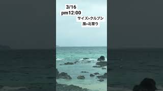 3/16山口県木与波情報🌊#shorts #日本海 #阿武町 #波情報 #萩市 #sup#バナナボート#アソビュー