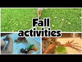 DIY Montessori preschool fall/autumn shelf activities | Montessori fall shelf unit |