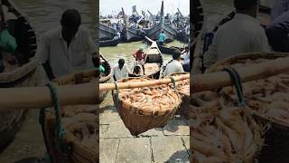 ফিশারি ঘাটের ব্যস্ত সময়। #shortsvideo #viral #fish #fishing #fishmarket #foryou