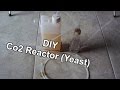 DIY Co2 Reactor For Aquascape (Sugar and Yeast)