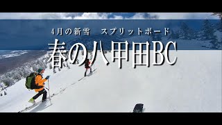 春の八甲田バックカントリー　4月の新雪　2021/04/10　insta360 one x2  スプリットボード