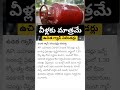 free gas cylinder in ap