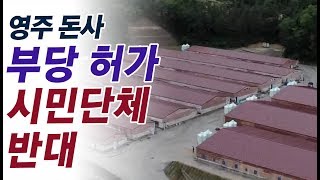 영주 돈사 허가 관심..시민단체 반대 / 안동MBC